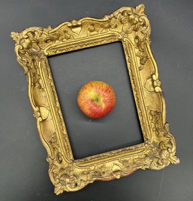 une photo d'une pomme dans un cadre