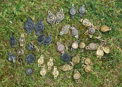 beaucoup de boutons qui sont sur l'herbe