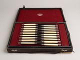 eight pens in a case on a white surface