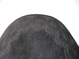 a close up view of a horse ' s head with a bridle on it ' s head