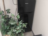 une plante en pot dans un coin de la pièce, à côté d'un téléviseur