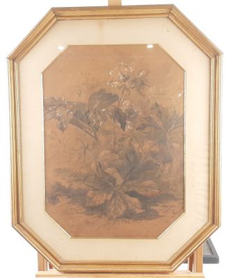 an old picture of a picture of a flower in a frame