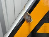 a rusted piece of metal on the side of a building