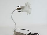 an image of a lamp with a bird on it on a table