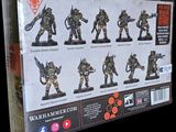 an image of a box of warhammer miniatures