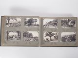 an open book with pictures of palm trees on it