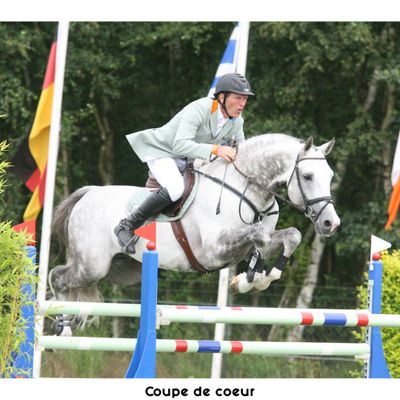 Nom : 231 paillettes de COUPE DE COEUR