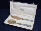 a silverware set in a box with a spoon and a knife