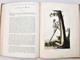 an open book with a picture of a man climbing a tree