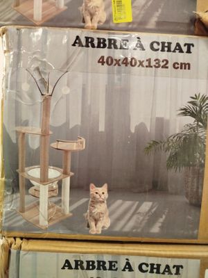 un chat assis sur une boîte en carton