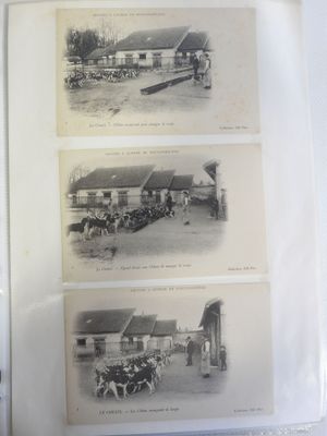 two old black and white photos of horses and carriages in front of a house