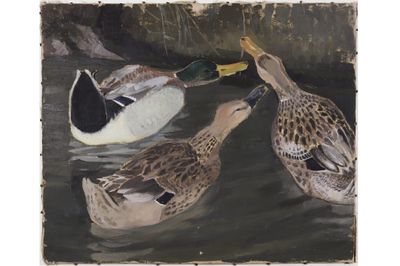 Hélène RIVIERE (1896-1977) Ensemble de 3 œuvres représentant… - Photo 1