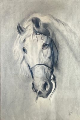 tableau représentant un cheval blanc avec une bride sur la tête