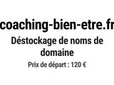 Photo 1/1 du lot