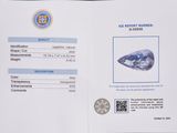 a passport with a picture of a blue diamond on it