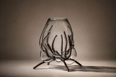 un vase en verre dans lequel se trouve une sorte d'objet