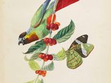 tableau représentant un oiseau et un papillon sur une branche d'arbre