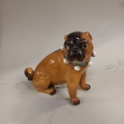 Ecole Allemande du XXème siècle un CARLIN mâle avec son coll…