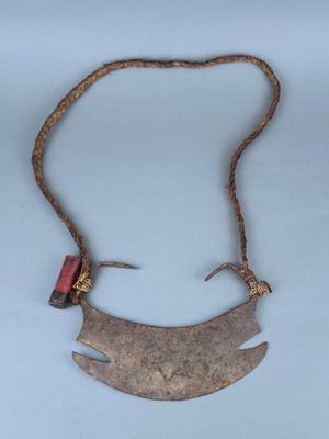 un gros plan d'un collier orné d'un objet métallique