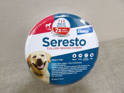 un bouton sur lequel figure l'image d'un chien