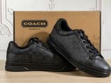 black coach sneakers with a box on a wooden table