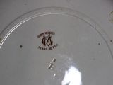 a white plate with a brown design on it
