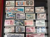 une importante collection de timbres, exposée dans une vitrine