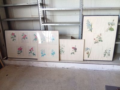 four framed pictures of flowers on the wall in a room