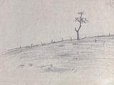 dessin représentant un arbre solitaire sur une colline, avec une clôture au premier plan