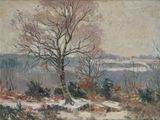 une image représentant un tableau d'un arbre dans la neige