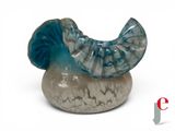 a blue and white shell sitting on top of a rock