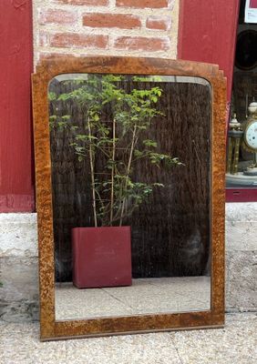 a mirror that has a plant in it on the ground