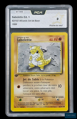 une image d'une carte Pokémon dans un étui en plastique