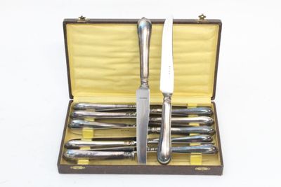 SFAM 12 grands couteaux lame inox, en écrin