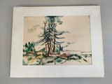 an image of a picture of a painting of some trees