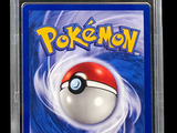 the card is in a clear plastic holder with a pokemon poke poke poke poke poke poke poke poke poke poke poke poke poke poke poke poke poke poke poke poke poke
