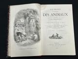 an open book with a picture of a man and a dog on it