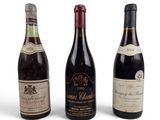 trois bouteilles de vin sont alignées sur une surface blanche