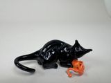 a black cat with a pumpkin in its mouth on a table
