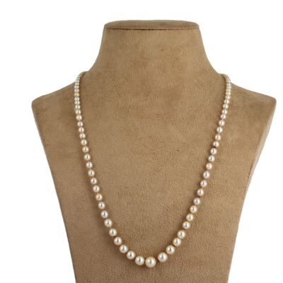 gros plan d'un collier sur un mannequin mannequin