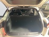 the back of a car with its trunk open and the back door open