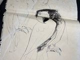 a drawing of a parrot sitting on a piece of paper