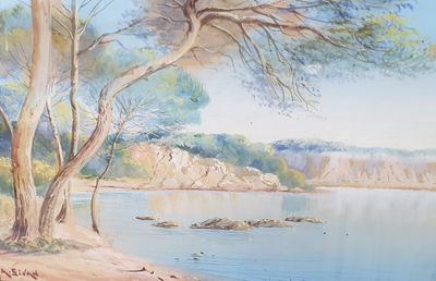 Le pin Aquarelle sur panneau encadrée