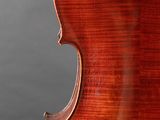 the back of a violin, with the back of the back of the back of the cello
