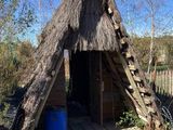 une petite cabane au toit de chaume dans les bois
