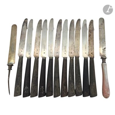 plusieurs couteaux sont alignés en rangée, avec un couteau à l'une des extrémités