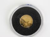 une image représentant une pièce d'or dans une vitrine, posée sur une surface blanche