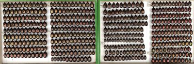 two rows of bottles of beer on display in a box