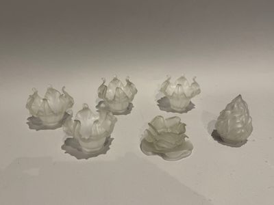 six petites fleurs blanches posées sur une surface blanche