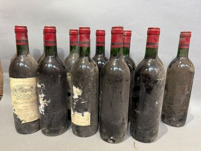 plusieurs bouteilles de vin sont alignées sur une table